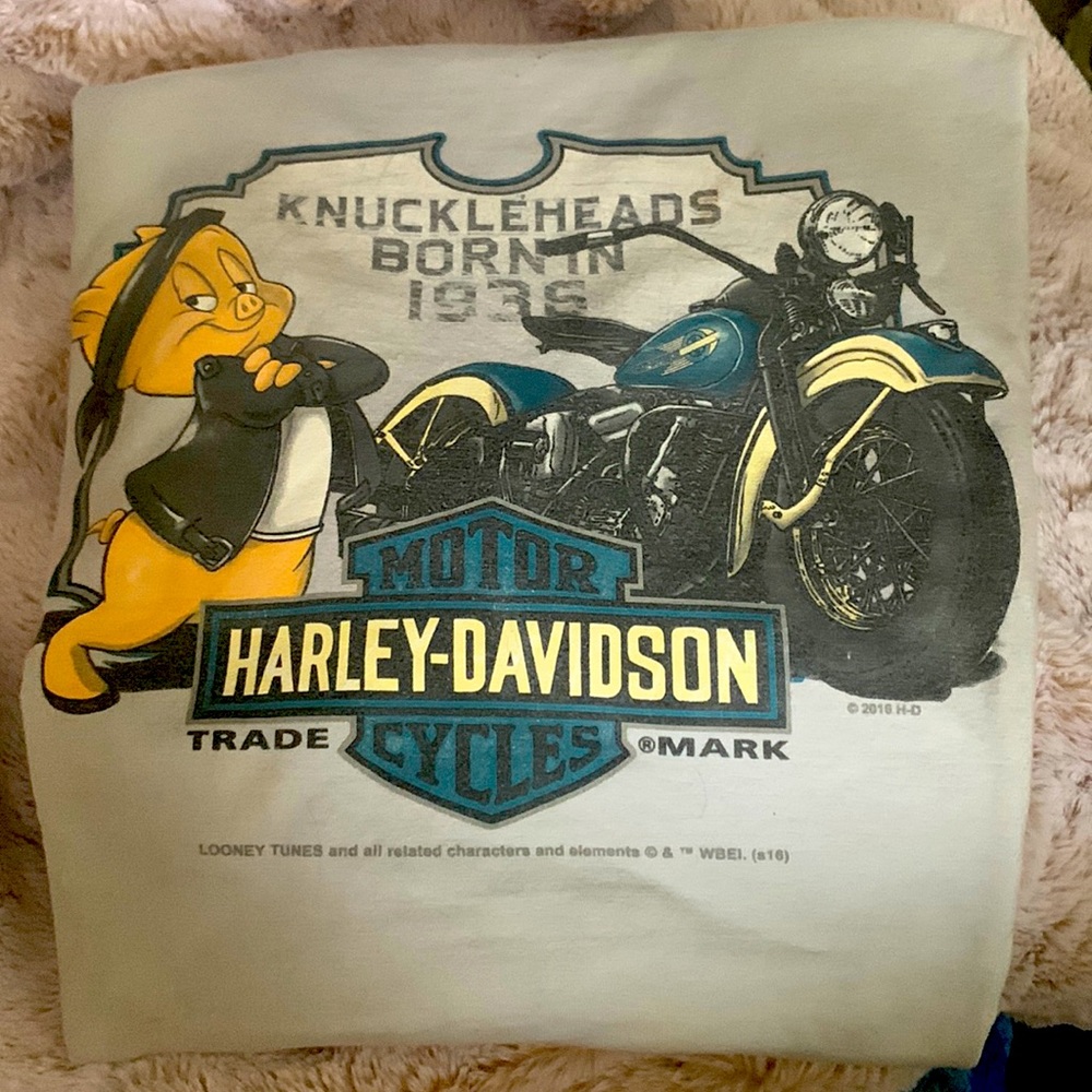 Vintage Harley Davidson gray T-shirt with looney tunes logo